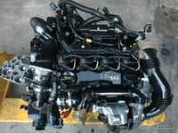 Motor 1.6 HDI 9 - 9HZ, G8DA, 9HX