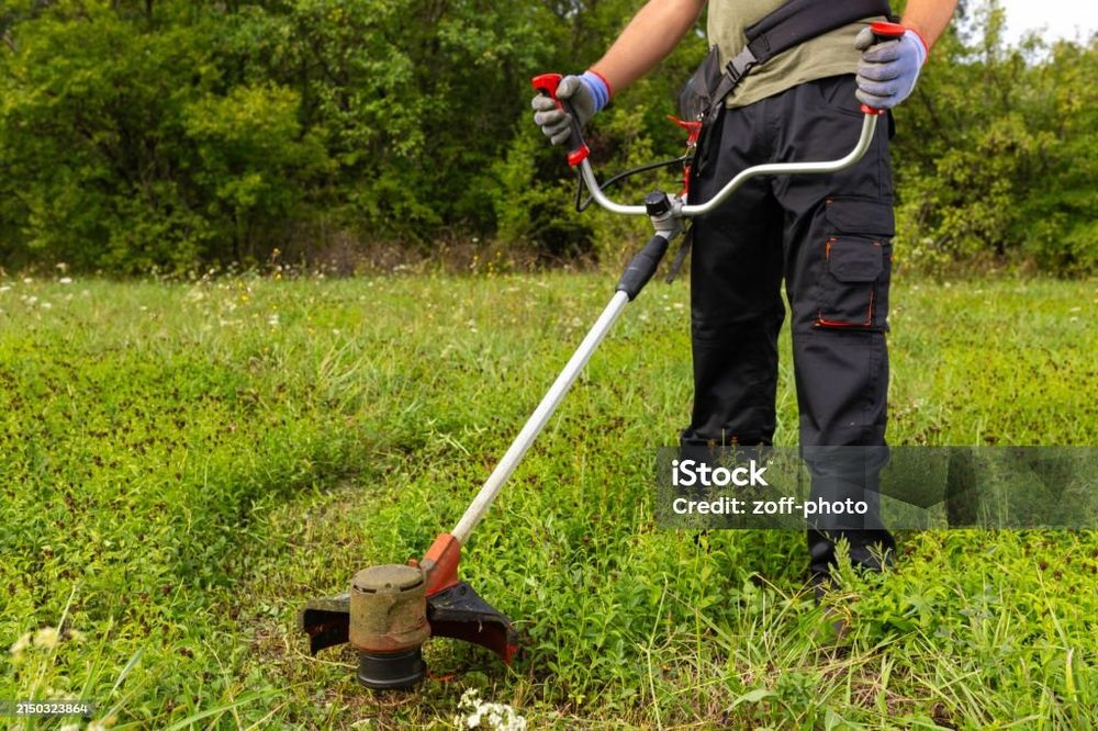 Atenção: Limpeza de terrenos