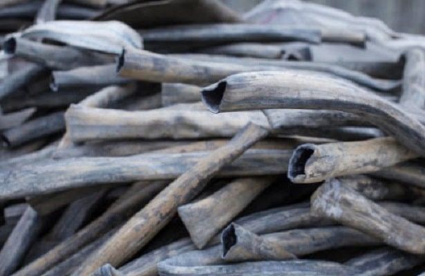 Куплю свинец покупаем кабельный свинец купим шиноможный свинец