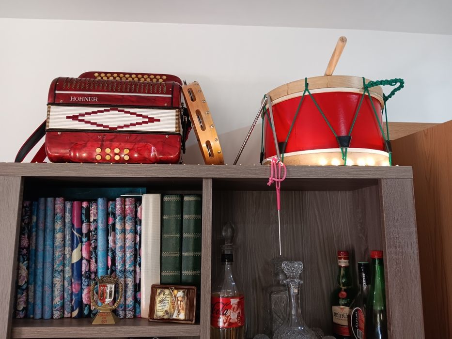 Concertina hohner  em sol do fa a 3 voz