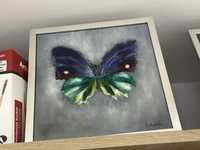 Obraz motyla w ramie malowany farbami olejnymi