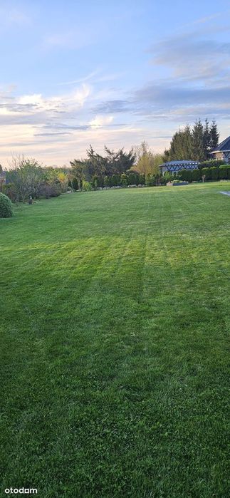 Działka budowlana  w Skrzydlicach