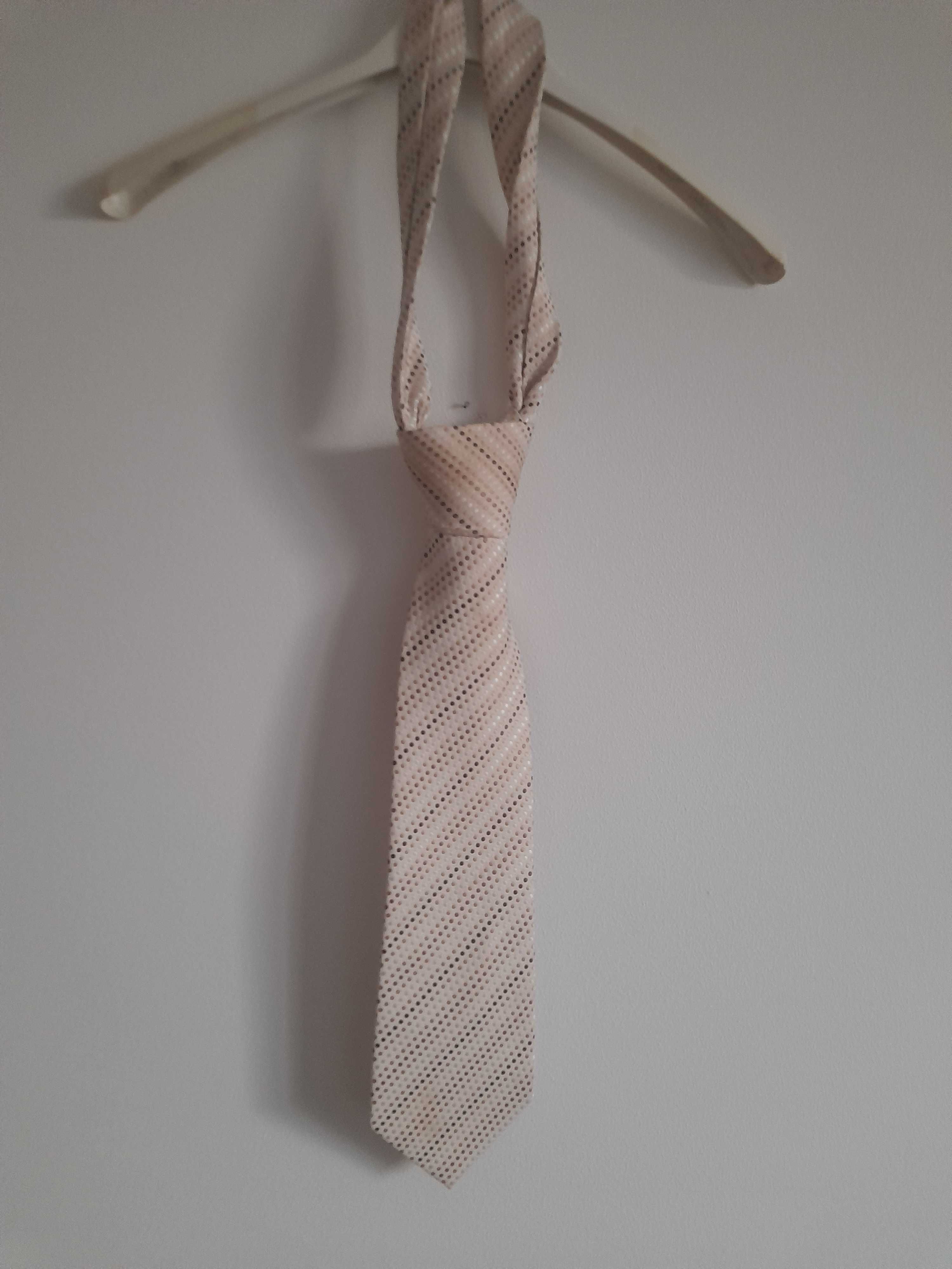 Elegancki krawat Linta kropki