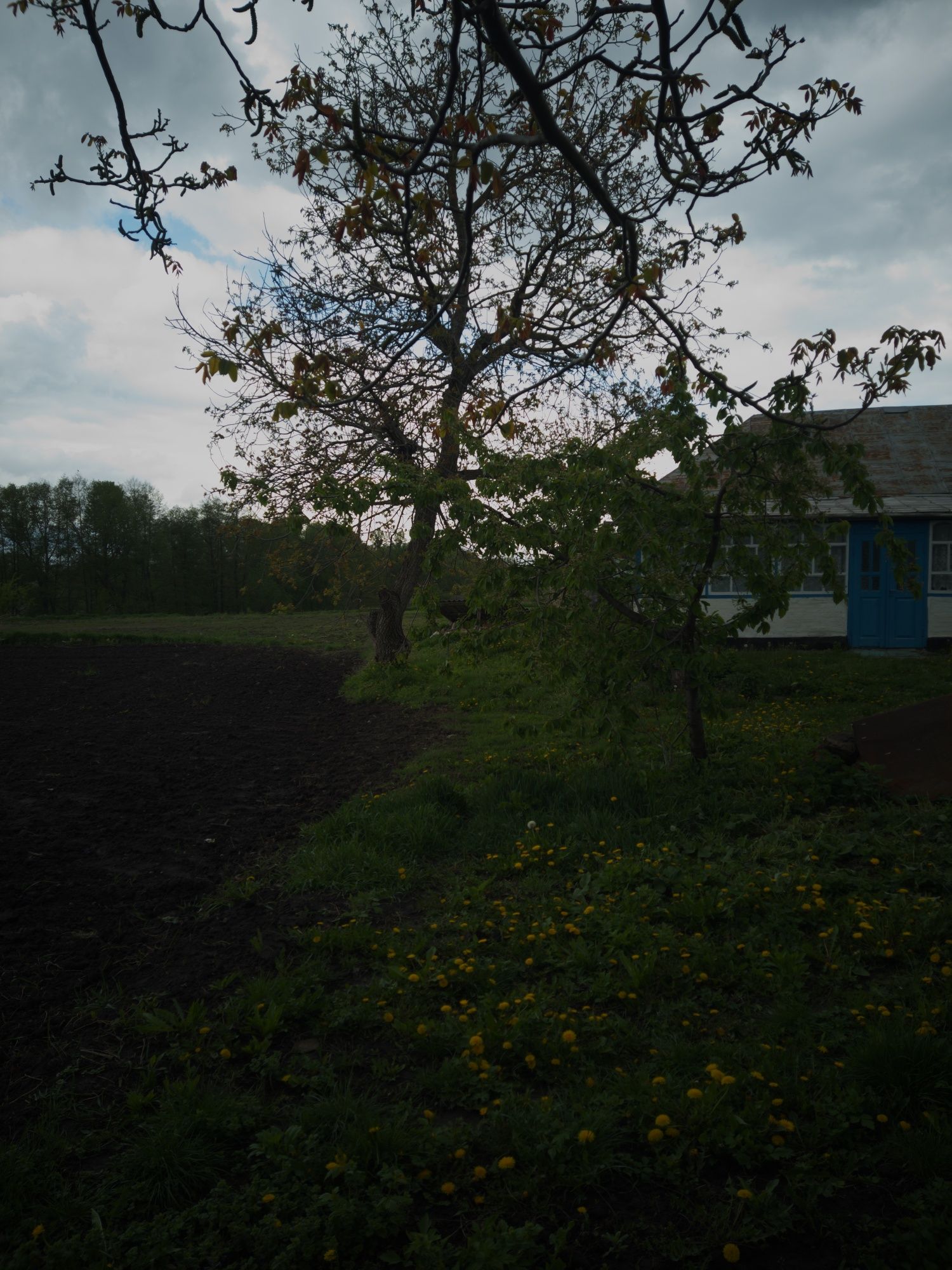 Продається будинок с. Городок Вінницька область