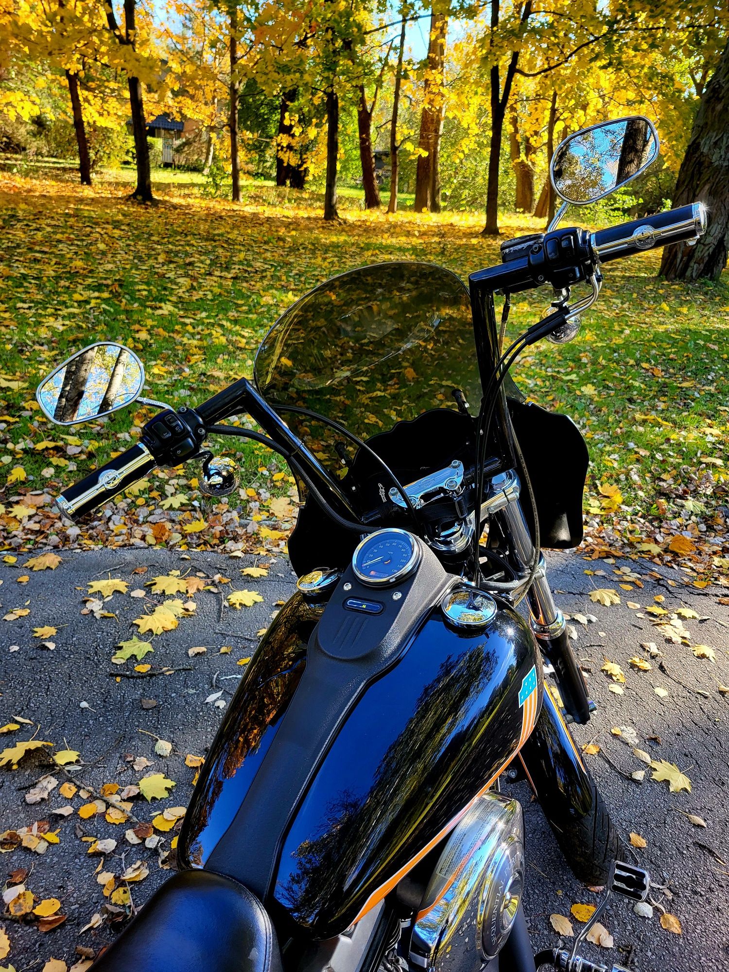 Harley Davidson Street Bob 1450