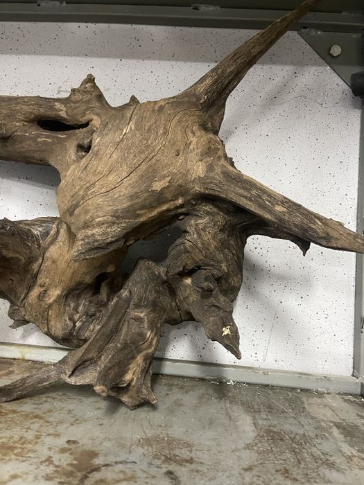 Корень в аквариум