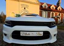 Auto do ślubu Dodge Charger V8, HEMI, Kutno Głowno Poddębice Łódzkie