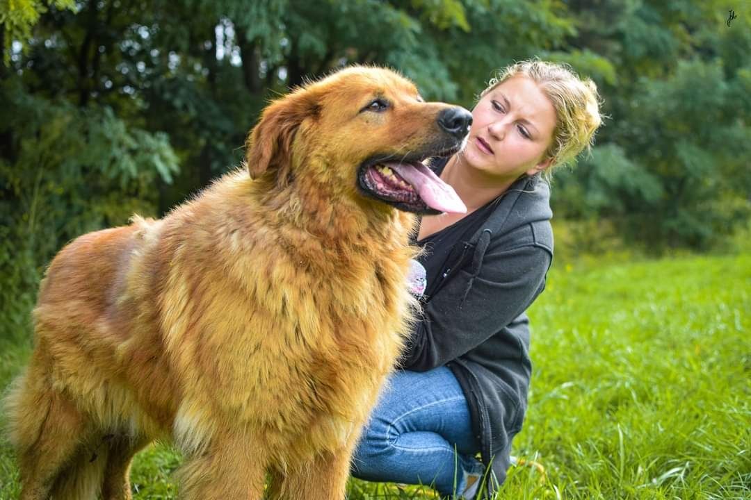 Jestem dużym psiakiem, czy znajdzie się dla mnie miejsce w Teoim Domu?