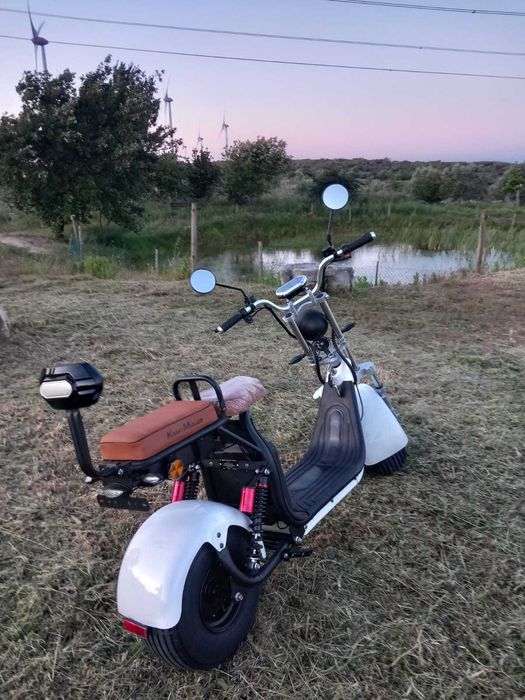 Citycoco - Electrica - Elegante -Ecologica 1500w