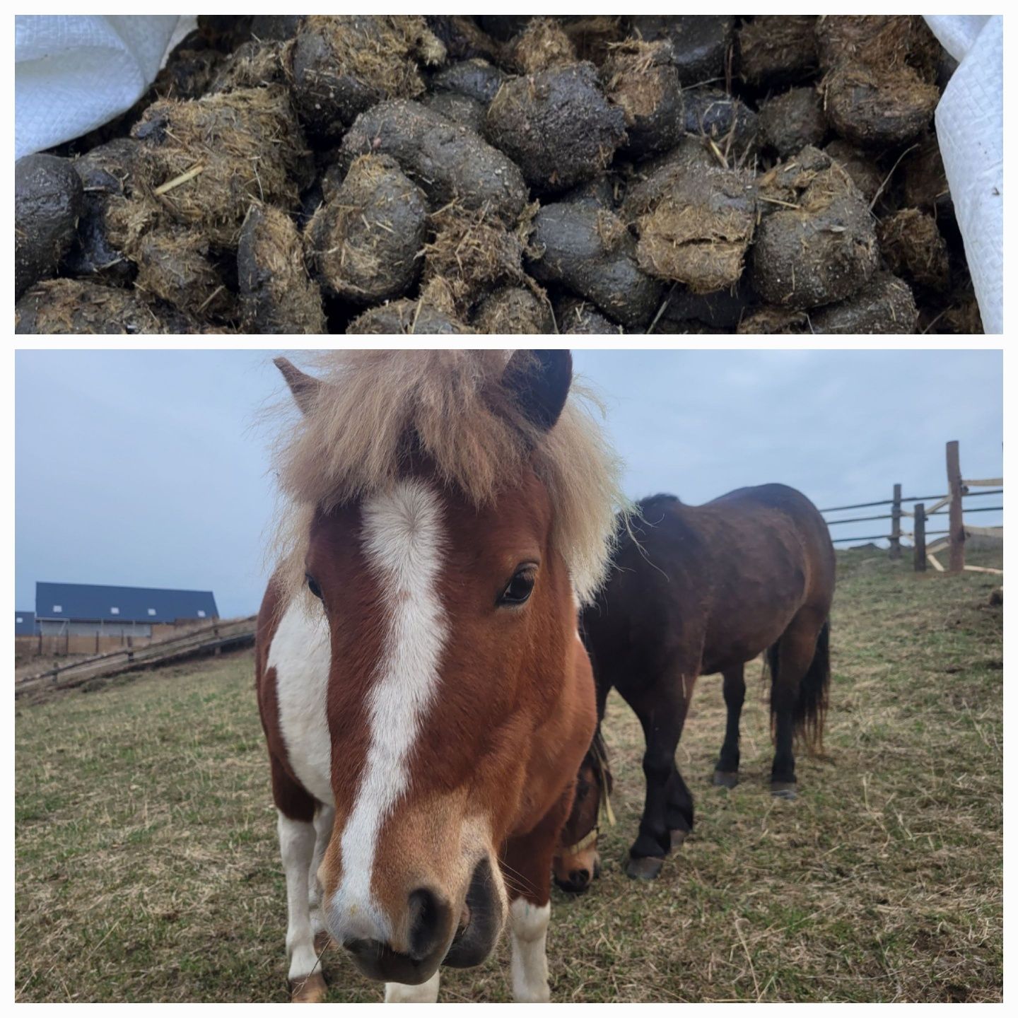Bio nawóz ogrodowy 100%Naturalny workowany obornik 10kg