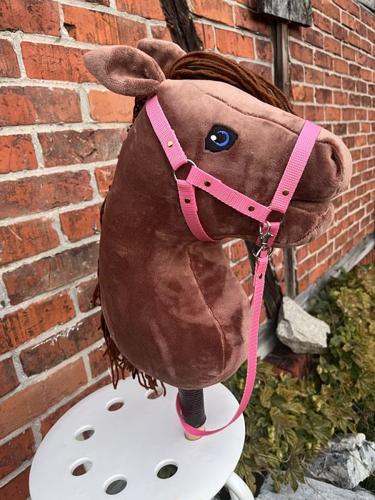 Hobby horse  koń na patyku