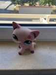 Litter pet shop em bom estado