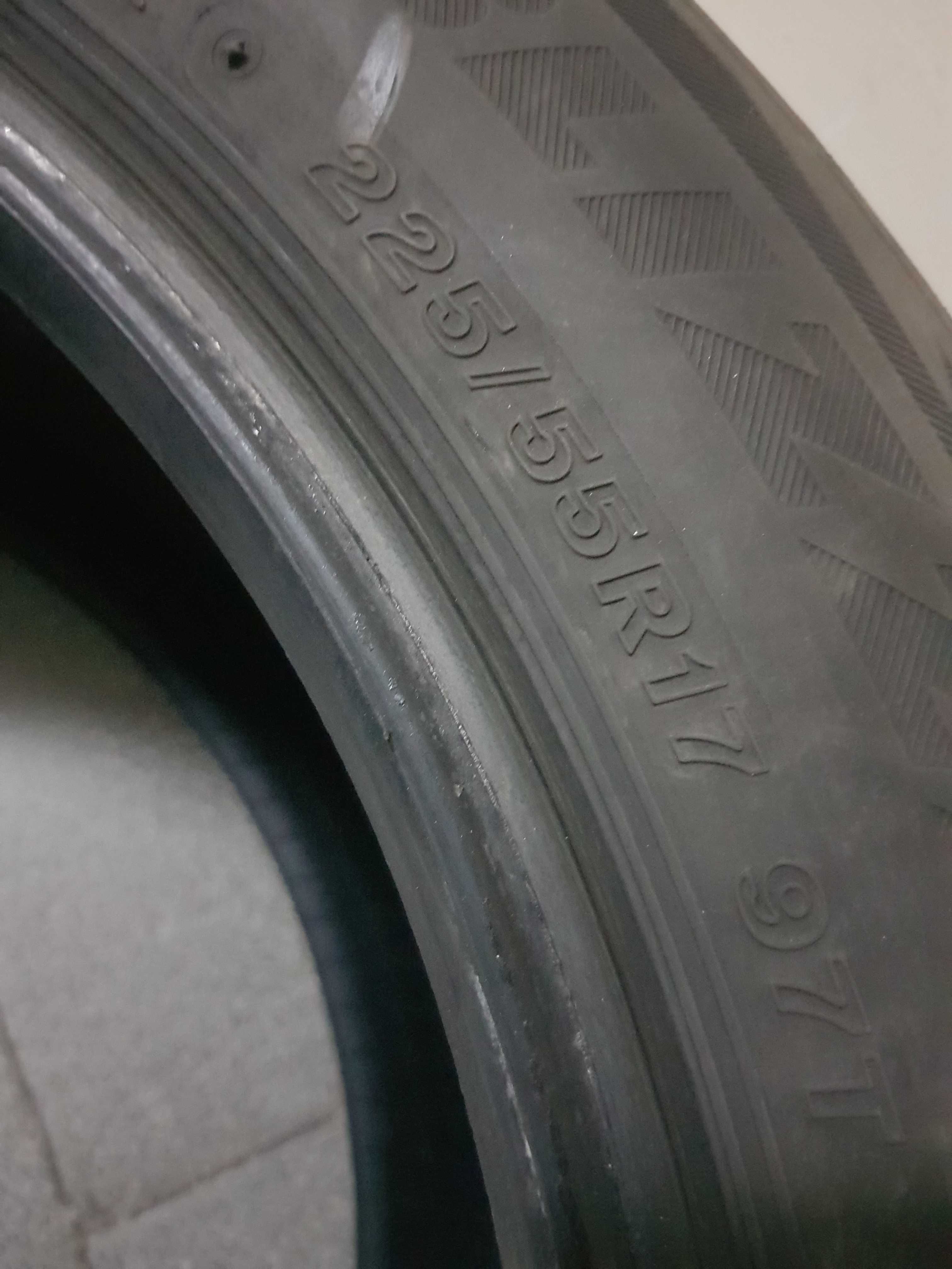 Резина зимняя Bridgestone Blizzak DM-V2 225/55 R17 97T