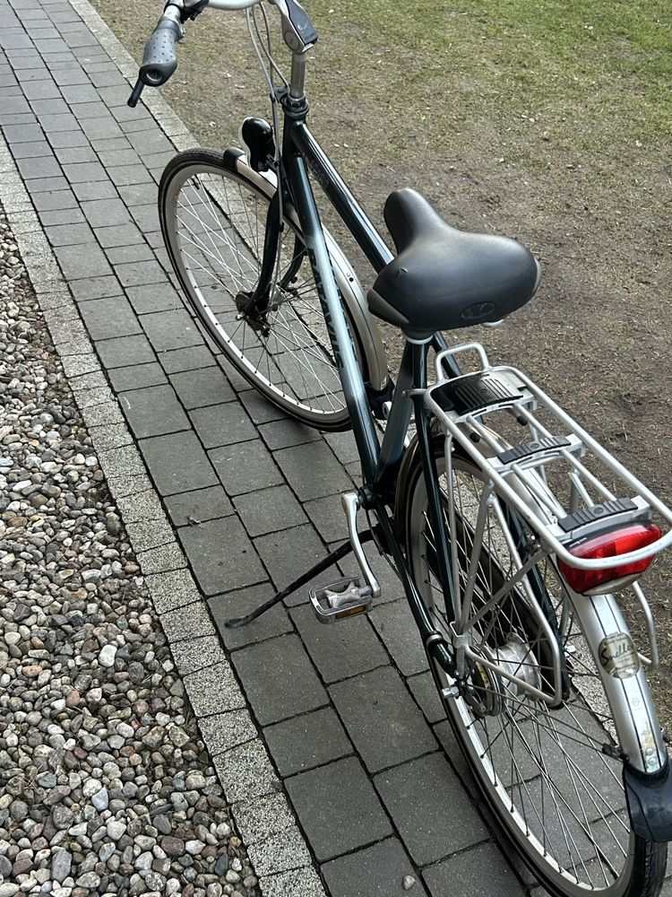 Rower Batavus Adagio
