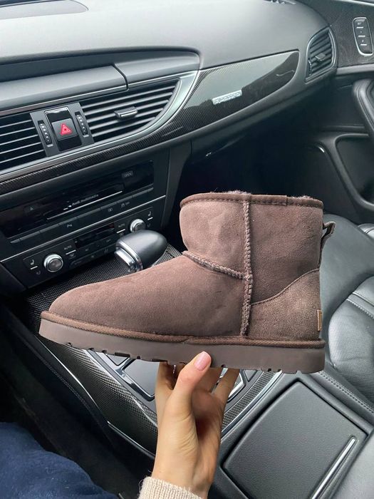 Угги Женские UGG Classic Mini II (Замша)