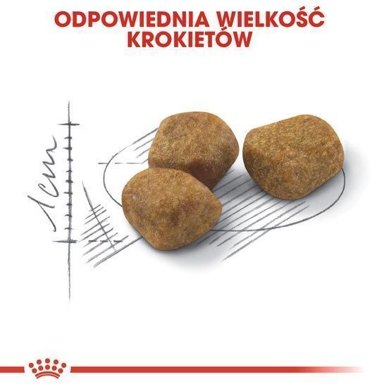 Odchudzająca karma dla kotów Royal Canin Wspiera idealną kondycję 2kg
