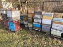 Розпродаж!!! БУ вулики, корпуса з пасіки під Васильків (Київська обл)