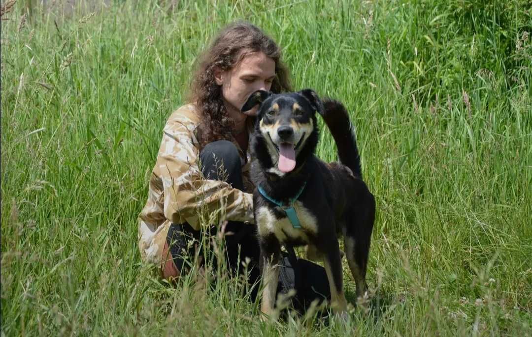 Onyx - młodziutki, spokojny i przyjazny psiak szuka nowego domu!