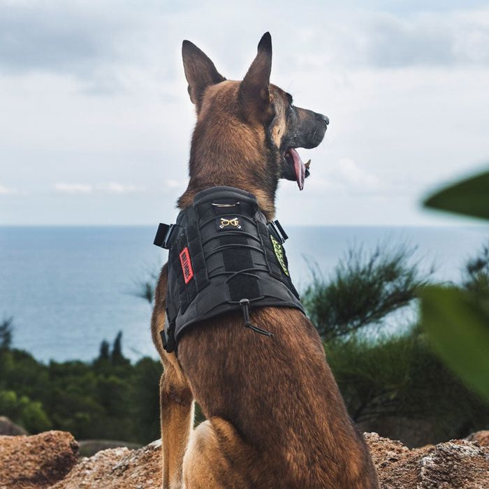 Arnês Cão K9 OneTigris L