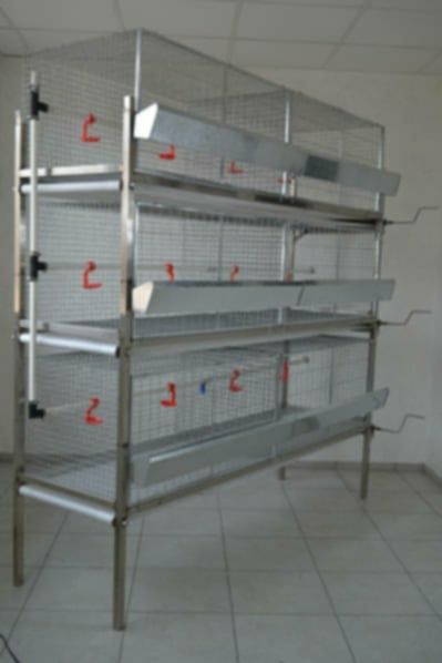 Клітки для курей.