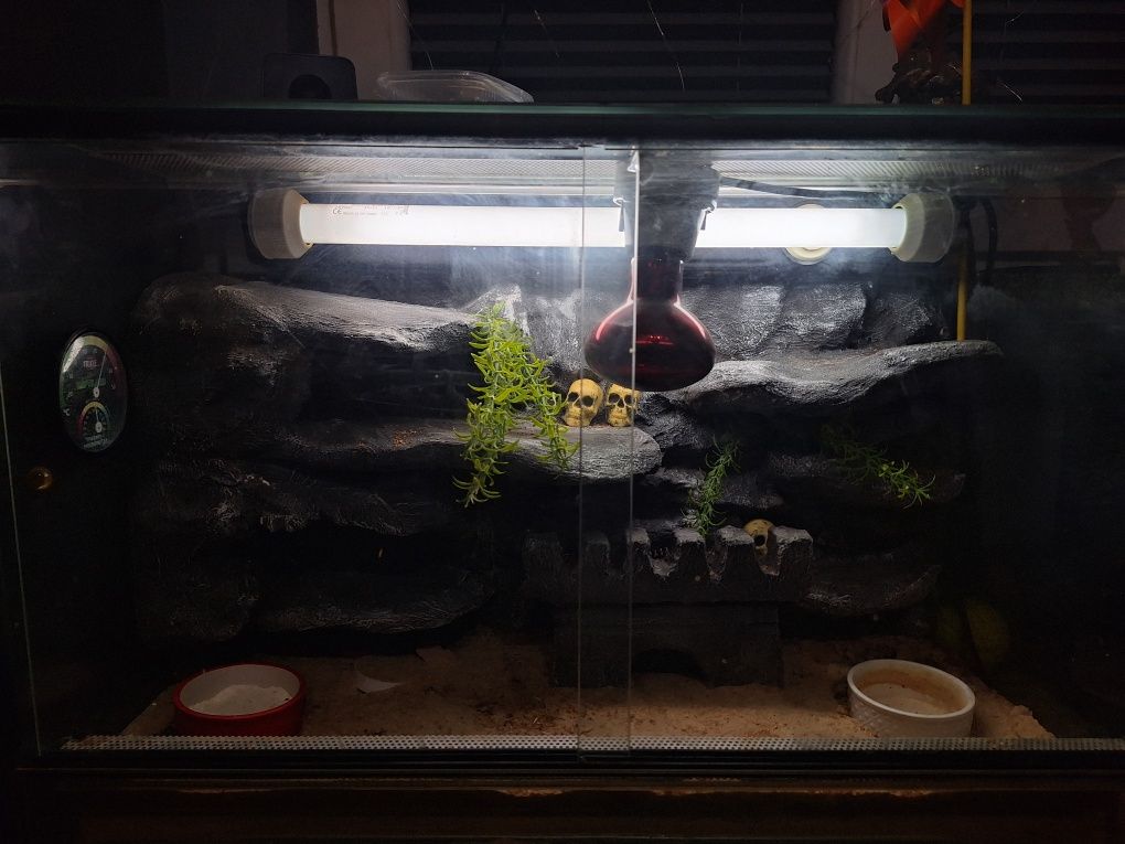 Terrarium dla gekona