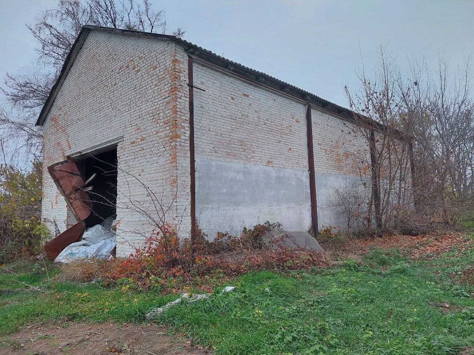 Будівлі під склади чи гаражі м Яготин Київська область