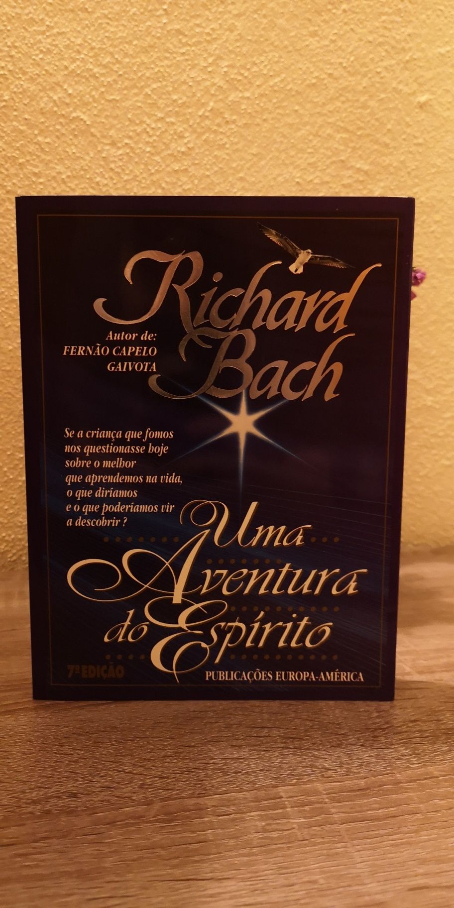 Livro Uma Aventura do Espírito de Richard Bach