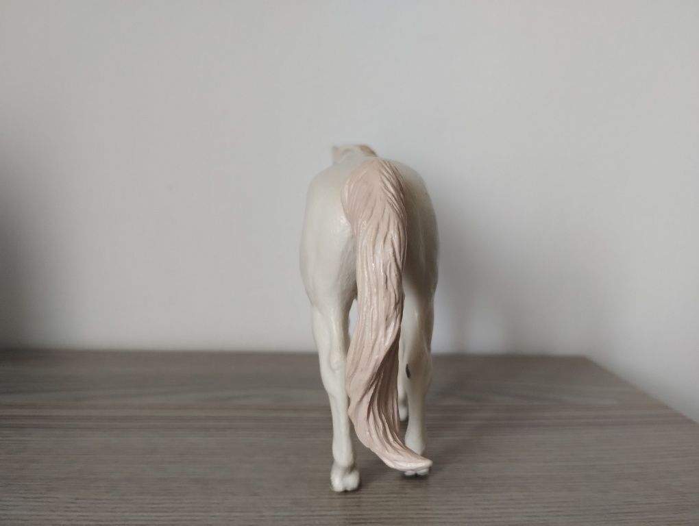 Klacz camargue collecta