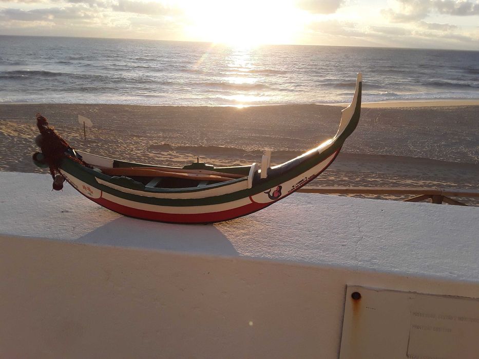 Barco de pesca (arte xavega) artesanal