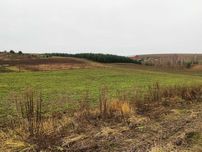 Ділянка в Карпилівці біля банного комплексу