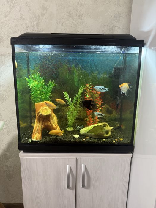Аквариум 90 л  полностью укомплектован