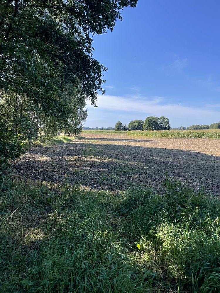 Działka Złotniki Klewinowo Bialystok gm. Juchnowiec 0,19ha Podlaskie
