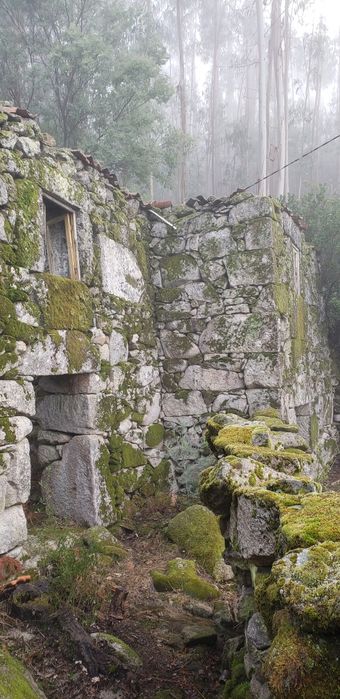 Vende-se terreno com Ruína