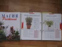 энциклопедия комнатные цветы