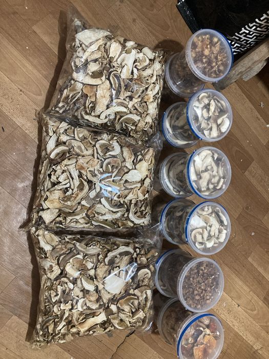 Карпацькі грибочки цьогорічні