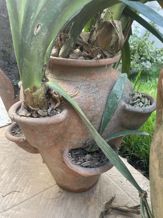 Anforas e vasos para decoração