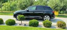 Audi Q5 Audi Q5 2024 2.0 45 TFSI 265KM