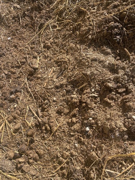 Para oferta - Estrume de cavalo