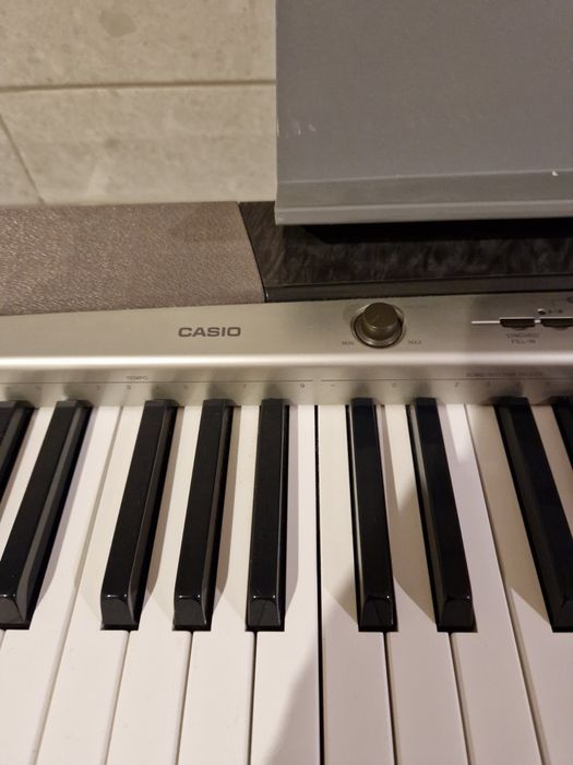 Піаніно цифрове Casio PX-120 Privia