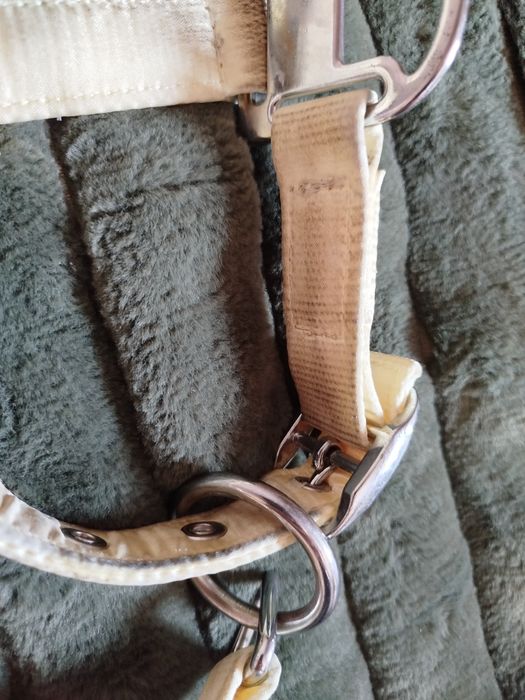 Kantar Eskadron Platinum Full