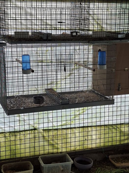 Gaiolas e voadeiras usadas