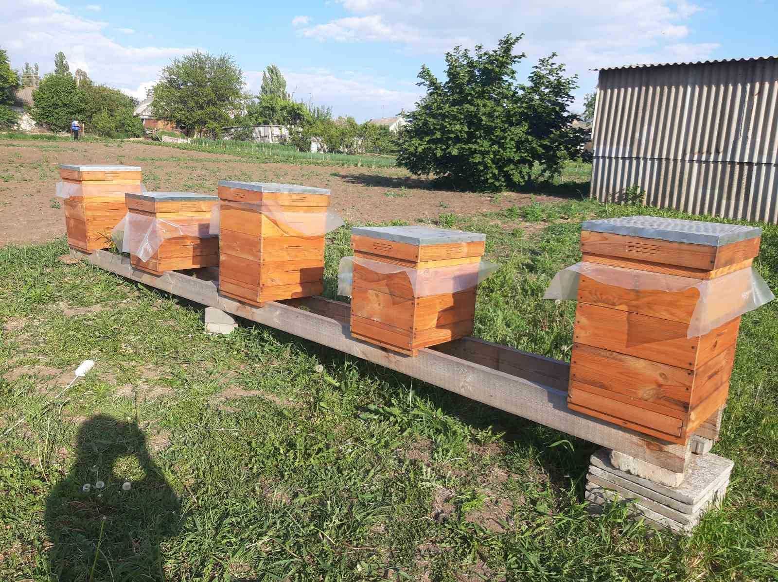 Продам травневий мед з власної пасіки