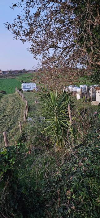 Terreno rústico em salreu, Estarreja
