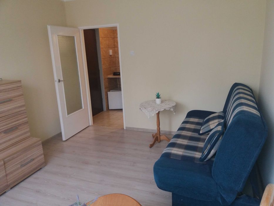 Gliwice, mieszkanie do wynajęcia