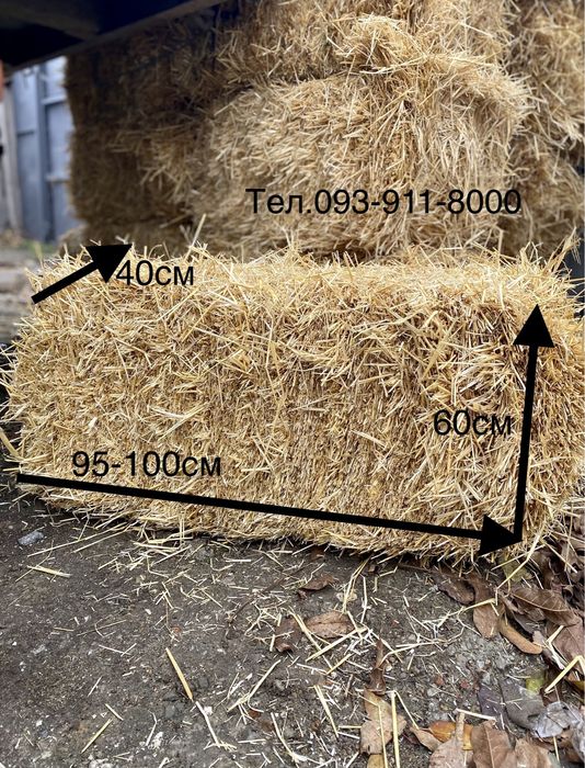 Сіно 2025 рік в тюках Солома Сено Лугове тюки