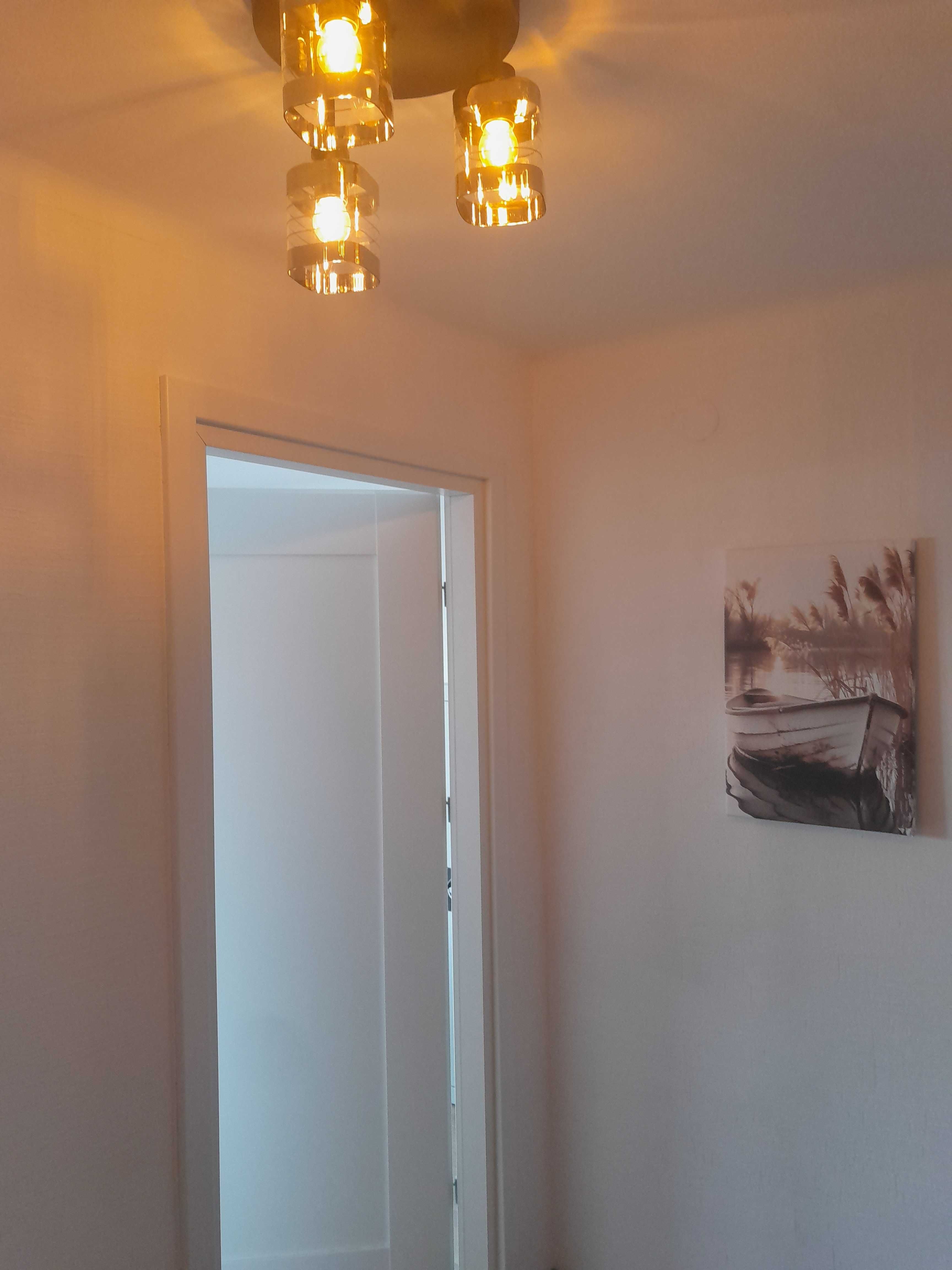 lokal pod  działalność Lisa Kuli 18/13 Rzeszów