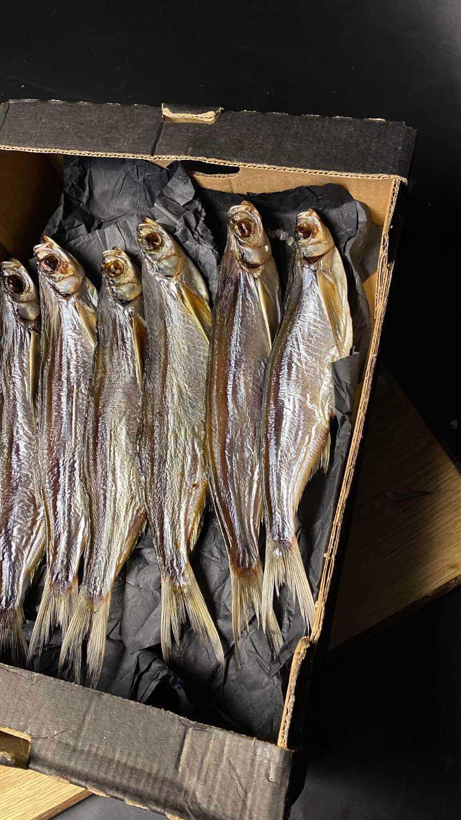 джерки корюшка з ікрою судак підлящ тарань вобла синець