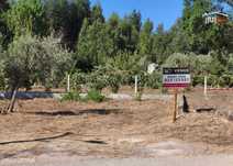 Terreno para Construção com 986 m² em Penedo - Vila de Rei: Turismo...