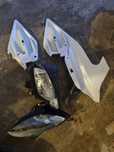 Wypełnienie bok owiewka lampa yamaha fazer fz8