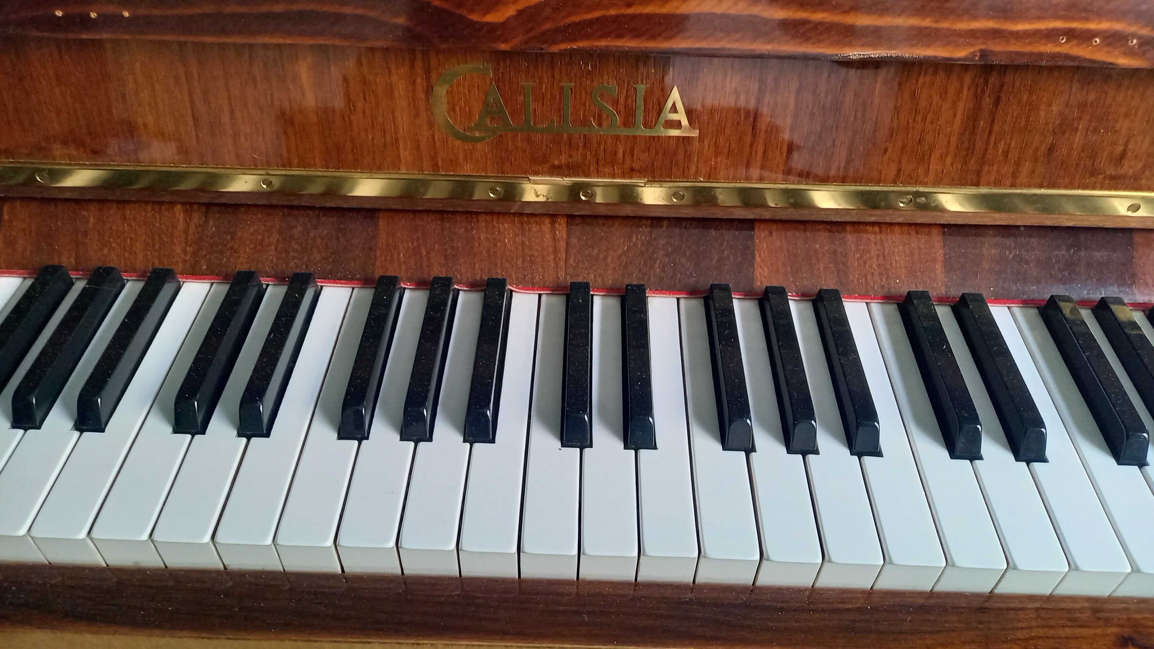 Pianino Calisia M-105 Chippendale